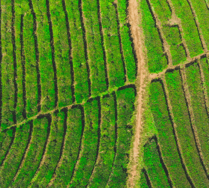 Engaging Audiences With Environmental and Social Challenges