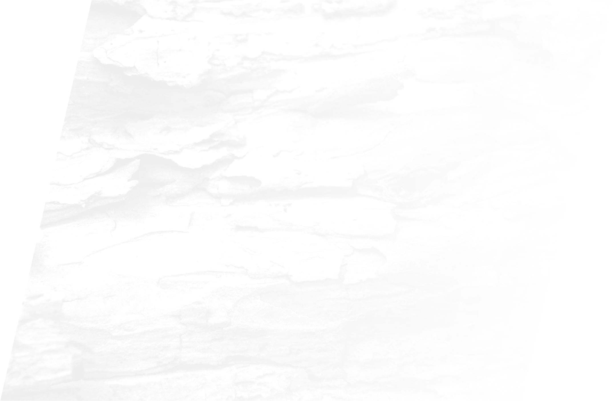 Close-up-of-bark-texture-white shape