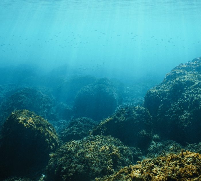 Revitalising Digital for a Global Archaeology Community