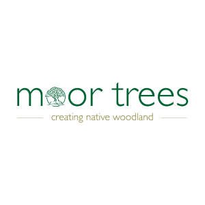 moor trees logo